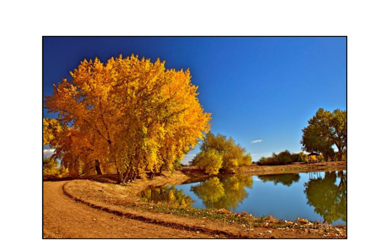 Mead - Lake Mead - Lake